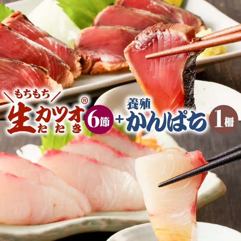 【 山実水産 】 もちもち 生カツオ (R) たたき 6節 + 養殖 かんぱち 柵 セット K046-001 魚