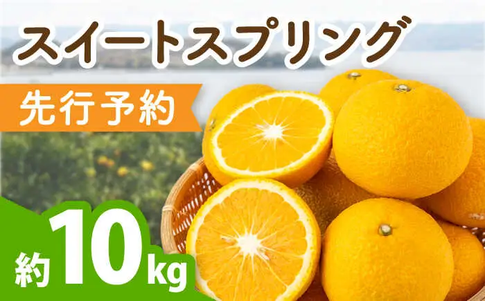 長崎県産スイートスプリング 約10kg[OCU001] みかん 10kg 先行予約 みかん