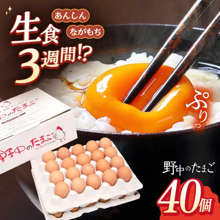産みたて新鮮たまご 野中のたまご 40個[OAC001] 