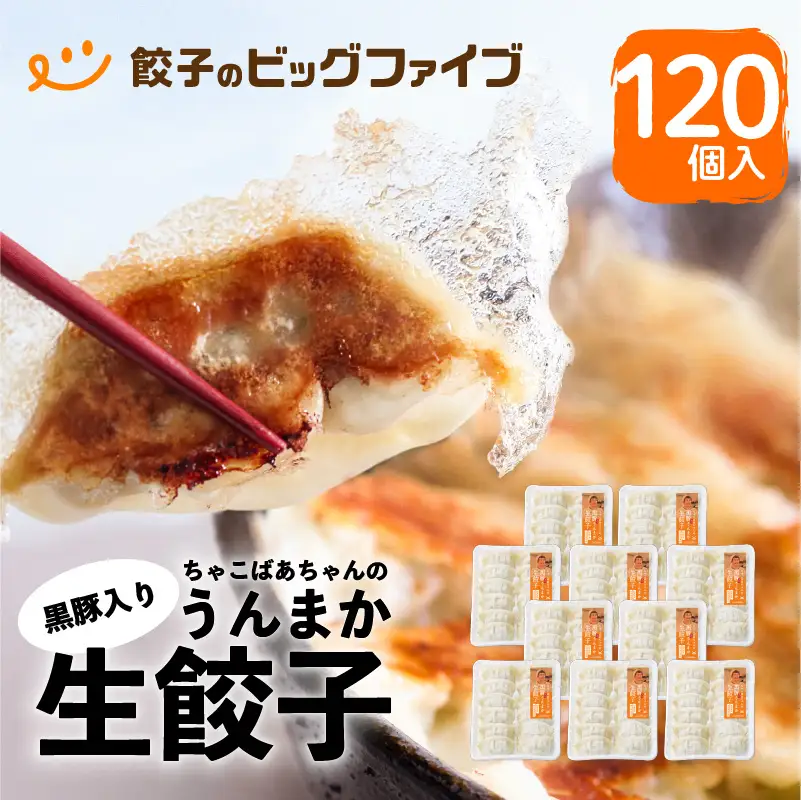 ちゃこばあちゃんの黒豚入りうんまか生餃子 120個入り K027-003 肉 豚肉 惣菜 総菜 冷凍