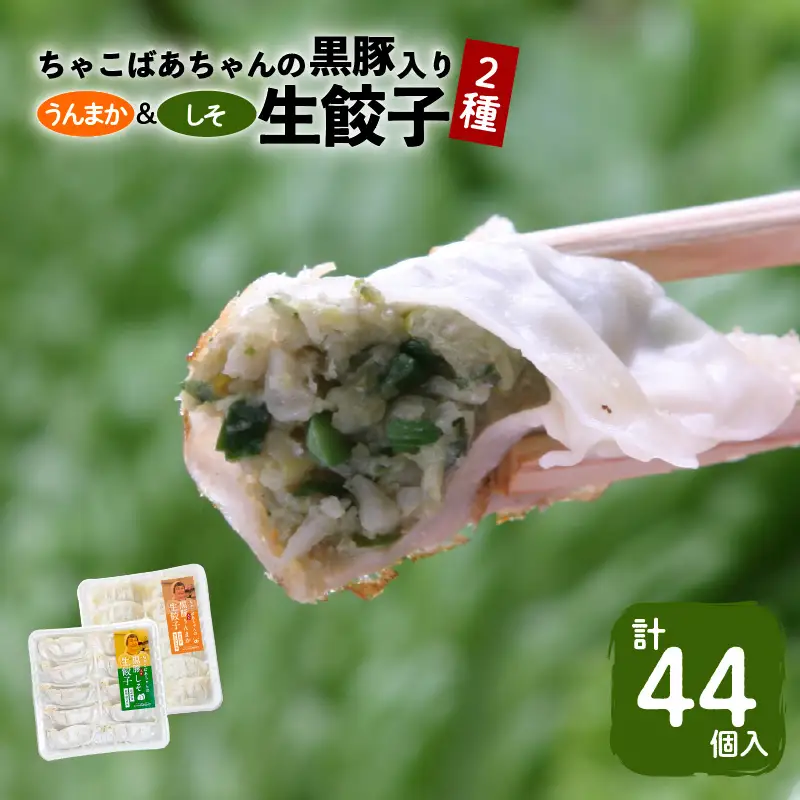 ちゃこばあちゃんの黒豚入りうんまか・しそ生餃子 計44個入り K027-004 肉 豚肉 惣菜 総菜 冷凍