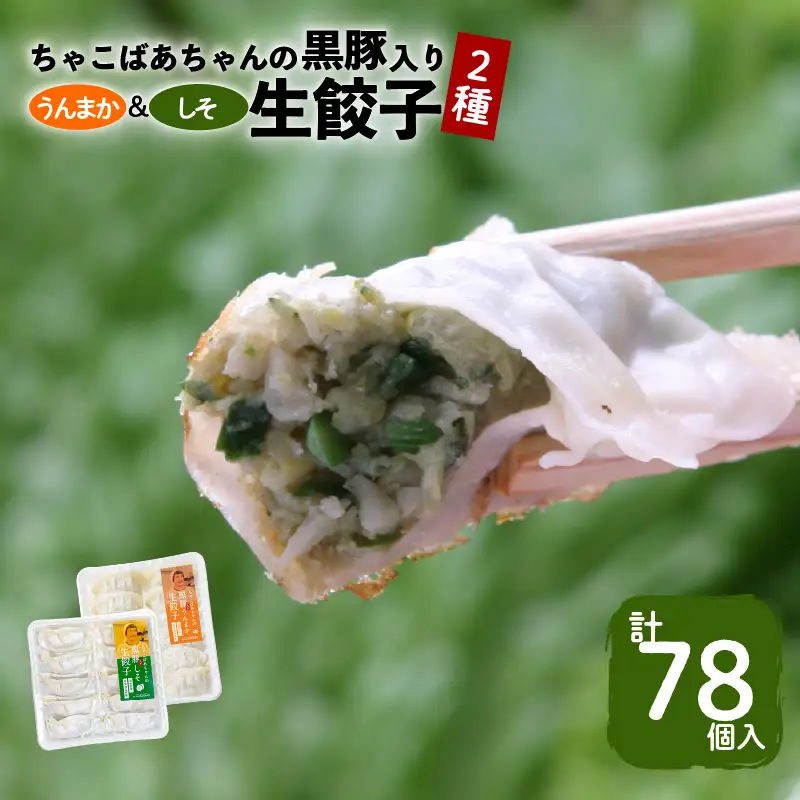 ちゃこばあちゃんの黒豚入りうんまか・しそ生餃子 計78個入り K027-005 肉 豚肉 惣菜 総菜 冷凍