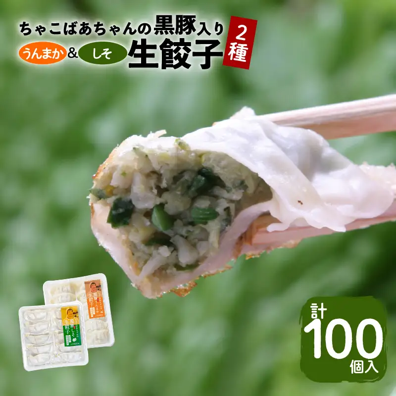 ちゃこばあちゃんの黒豚入りうんまか・しそ生餃子 計100個入り K027-006 肉 豚肉 惣菜 総菜 冷凍