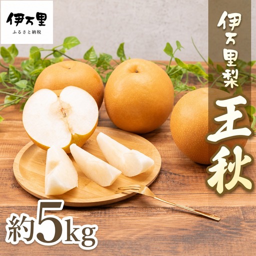 梨 王秋 伊万里梨 約5kg 178-B943