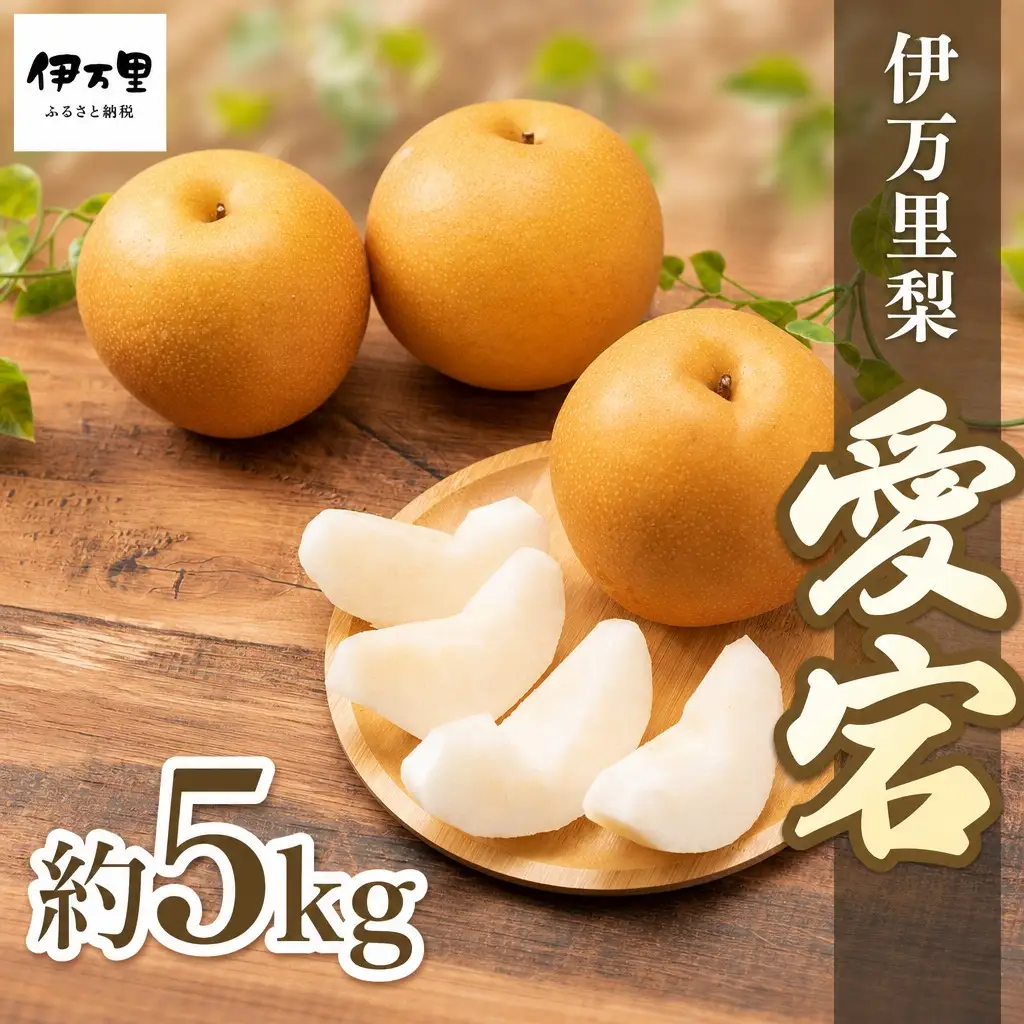 【令和8年産先行予約】伊万里梨 「愛宕」 約5kg 大型種 178-B944