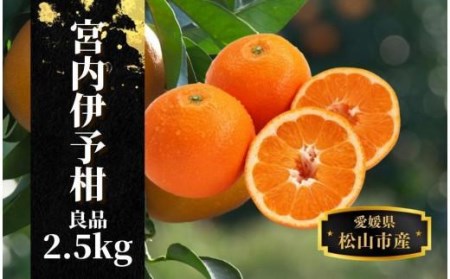 【宮内伊予柑】良品 約 2.5kg 【2027年2月頃から順次発送】 （ 愛媛産 愛媛県産 国産 愛媛みかん 愛媛蜜柑 愛媛ミカン みかん ミカン mikan 蜜柑 柑橘 フルーツ 果物 くだもの お取り寄せ 産地直送 数量限定 人気 おすすめ 愛媛県 松山市 送料無料 ）【PT009_x】