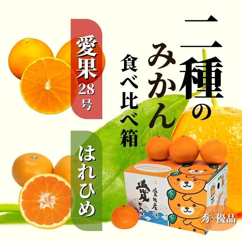 【早期予約受付中！2026年12月より順次発送】二種のみかん食べ比べ箱 愛果28号・はれひめ(秀~優品) 約2.8kg【PT014_x】