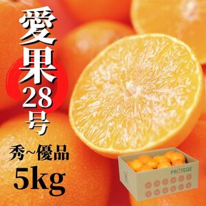 愛果28号 (紅まどんな と同品種) 約5kg 秀品~優品 【2026年12月頃から順次発送】【PT0171】