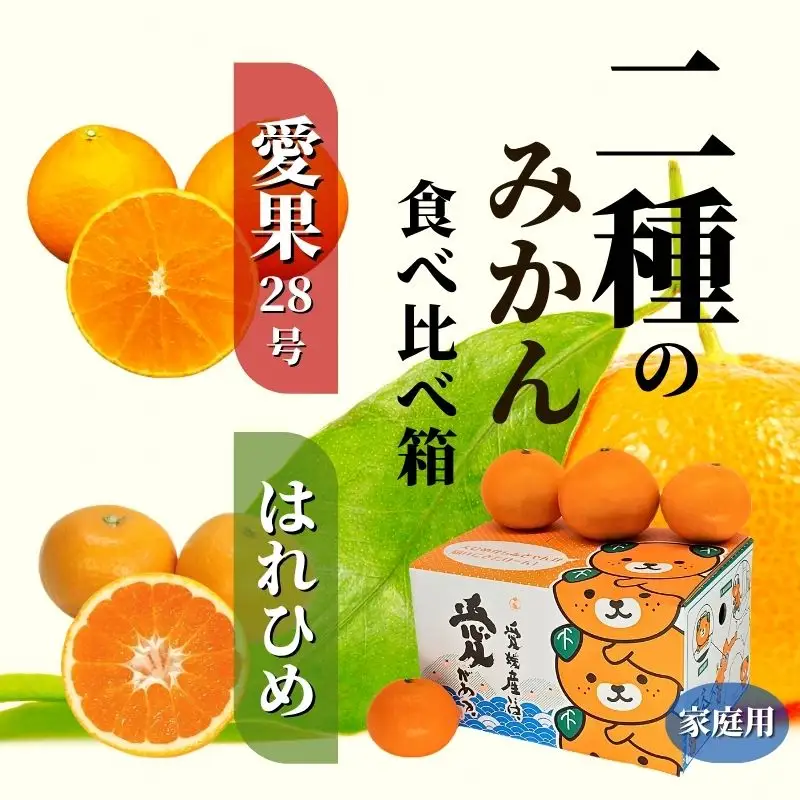 【2026年12月頃から順次発送】二種のみかん食べ比べ箱 愛果28号・はれひめ(家庭用) 約 2.8kg 食べくらべ 愛媛 みかん 詰め合わせ 蜜柑 柑橘 果物 くだもの フルーツ お取り寄せ グルメ 期間限定 数量限定 人気 おすすめ 愛媛県 松山市【PT0221】★みかんみかんみかんみかん