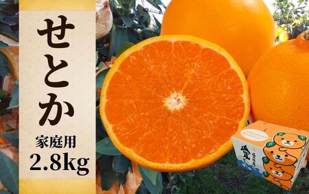 【せとか】家庭用 約2.8kg セトカ 愛媛県 松山市【PT0241_x】