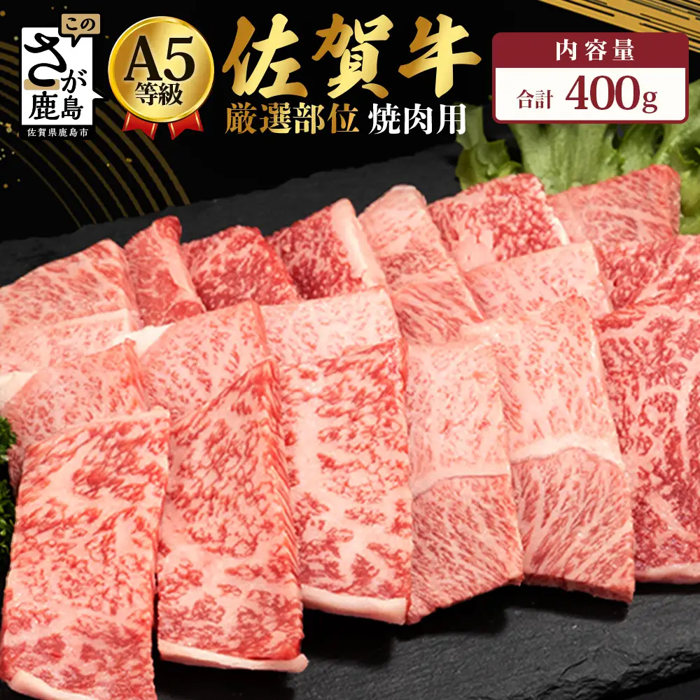 A5等級 佐賀牛 焼肉用 400g【厳選部位】佐賀牛ロース 佐賀牛モモ 佐賀牛ウデ 佐賀牛バラ【美味しい佐賀牛を贅沢に】佐賀牛のうま味 B-616