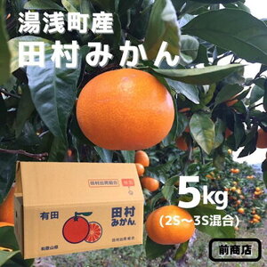 【2026年先行予約】【産地直送】和歌山 湯浅町産 田村みかん 5kg 2S～3Sサイズ混合_BL6014n