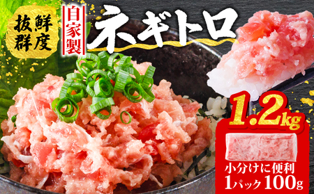 【ねぎとろ】ねぎとろ 1.2kg  ( 100g ×12パック )   【SS003】
