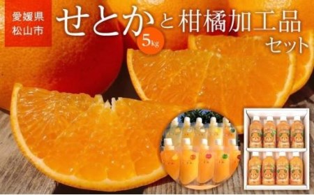 家庭用 せとか 5kg と 柑橘加工品セット | 愛媛 みかん くだもの フルーツ 【SU0032】【2027年3月上旬頃から順次発送】