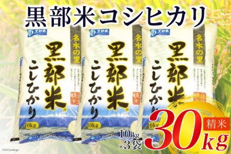 【令和8年産】 黒部米 コシヒカリ 10kg×3袋 計30kg 精米