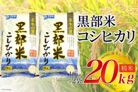 【令和8年産】黒部米 コシヒカリ 10kg×2袋 計20kg 精米