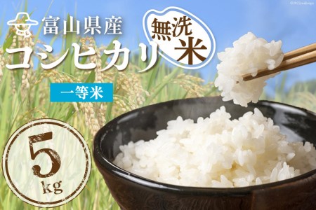 米 無洗米 コシヒカリ 5kg ご飯 ごはん 白米 精米/林農産/富山県 黒部市 お米 こしひかり 