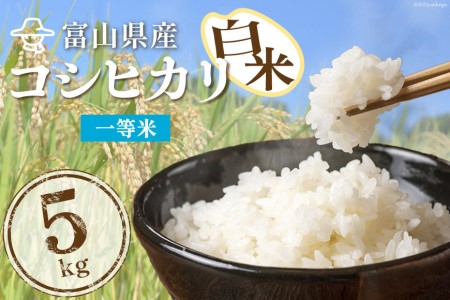 米 精米 コシヒカリ 5kg コメ ご飯 ごはん 白米/林農産/富山県 黒部市 お米 こしひかり 