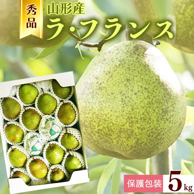 【保護包装品】令和8年産 秀品 洋梨「ラ・フランス」5kg サイズおまかせ 山形県産【2026年10月末頃から12月上旬頃】　019-B-JA006