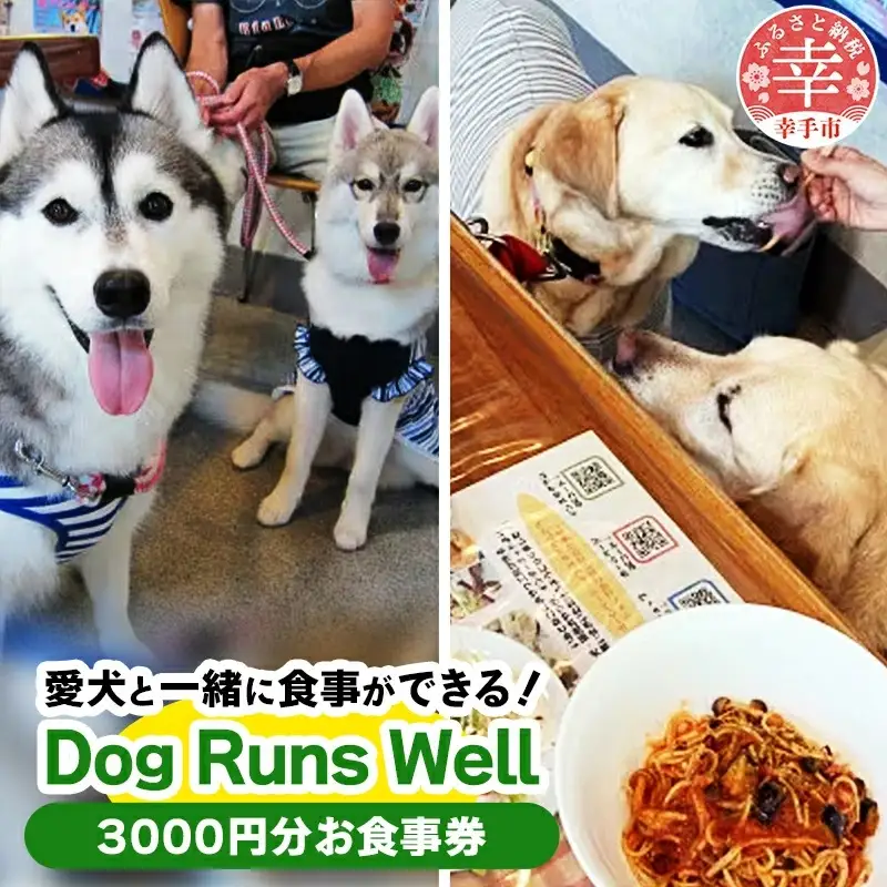 ”愛犬と伴にお食事” 「Dog Runs Well・ドッグパーク幸手店舗」お食事券 - チケット お食事券 カフェ 食事 ドッグカフェ ドッグラン 愛犬 犬 犬用おやつ おやつ Dog Runs Well ドッグランズウェル 埼玉県 幸手市