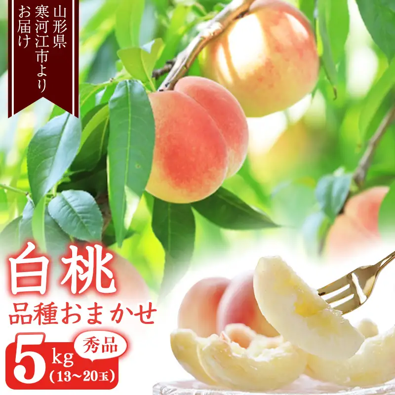 《先行予約》令和8年産 山形の白桃 秀品 5kg（13 - 20玉） 品種おまかせ 2026年産 山形県産【2026年8月上旬頃から9月下旬頃発送予定】※ 配送不可 沖縄・離島　023-B-MM013