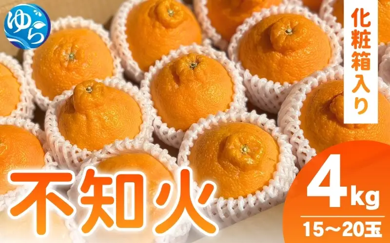 和歌山県産 不知火 4kg(15玉～20玉入り） / 不知火 柑橘 果物 和歌山 ※2027年2月中旬～4月中旬頃順次発送予定 ※北海道・沖縄・離島配送不可 【eiw010-r-4】