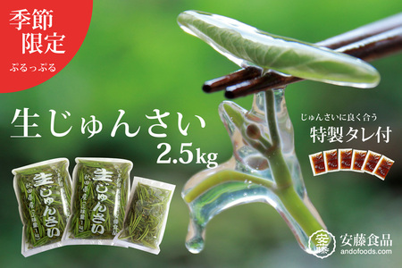 生じゅんさい2.5kg ゆずタレ6個 《冷蔵》（2027年5月上旬頃～7月下旬までに発送予定） 令和9年産 2027年産 先行受付  秋田県産 三種町産