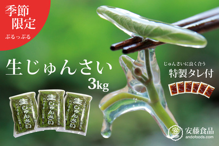 生じゅんさい3kg ゆずタレ6個 《冷蔵》（2027年5月上旬頃～7月下旬までに発送予定） 令和9年産 2027年産 先行受付  秋田県産 三種町産