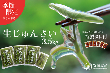 生じゅんさい3.5kg ゆずタレ6個 《冷蔵》（2027年5月上旬頃～7月下旬までに発送予定） 令和9年産 2027年産 先行受付  秋田県産 三種町産