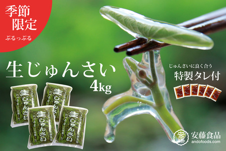 生じゅんさい4kg ゆずタレ6個 《冷蔵》（2027年5月上旬頃～7月下旬までに発送予定） 令和9年産 2027年産 先行受付  秋田県産 三種町産