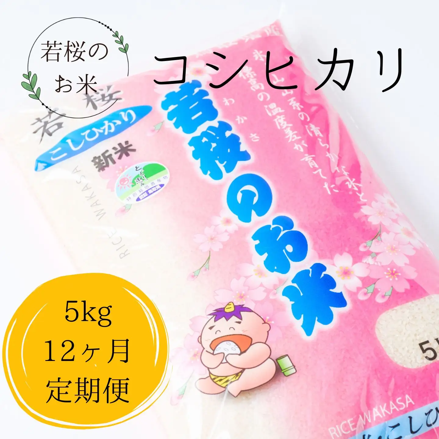 【定期便12ヶ月】特別栽培米　若桜（わかさ）のお米　コシヒカリ　12ヶ月定期便（精米5kg×12ヶ月） [137]