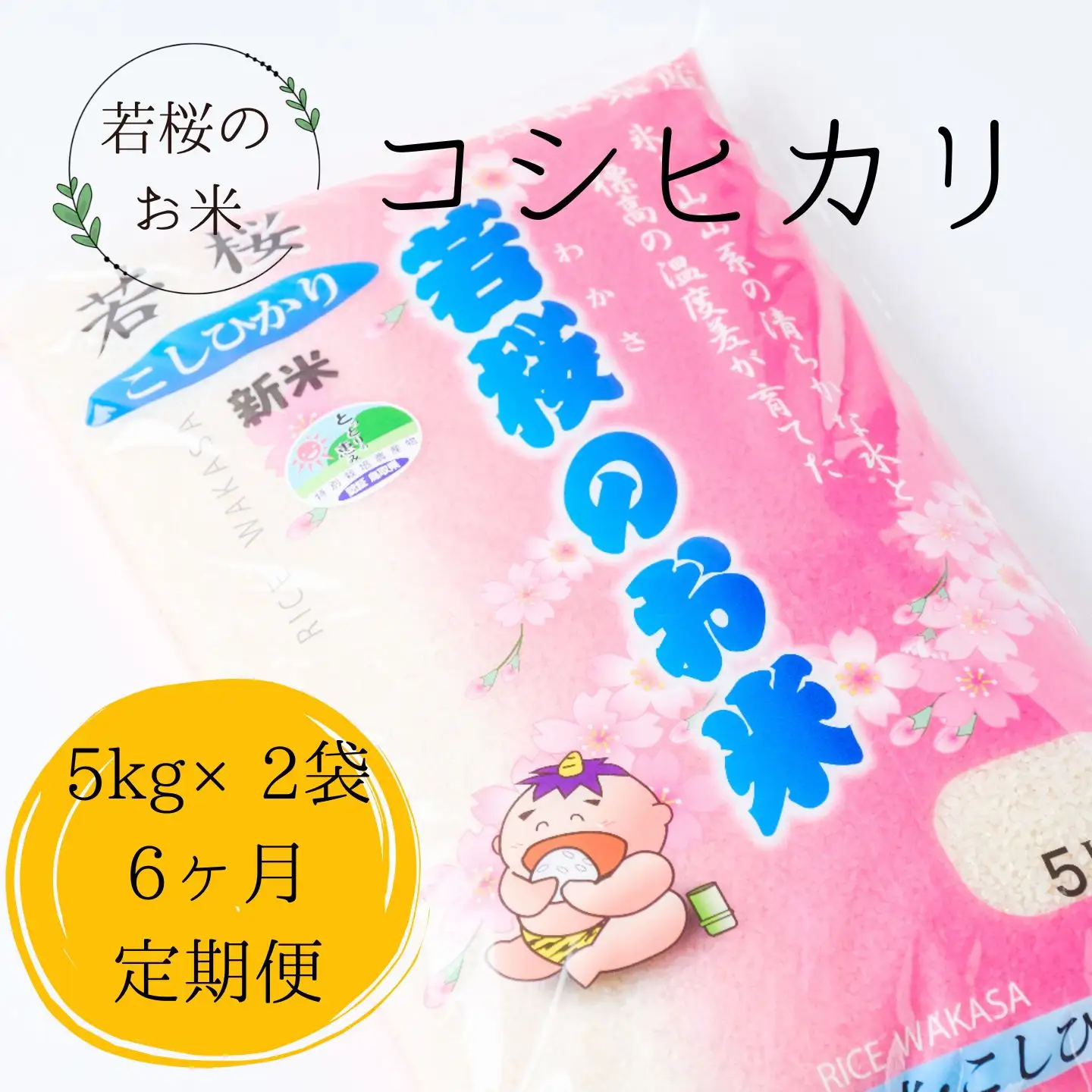 【定期便6ヶ月】特別栽培米　若桜（わかさ）のお米　コシヒカリ　10kg×6ヶ月定期便（精米5kg×2袋×6ヶ月） [138]