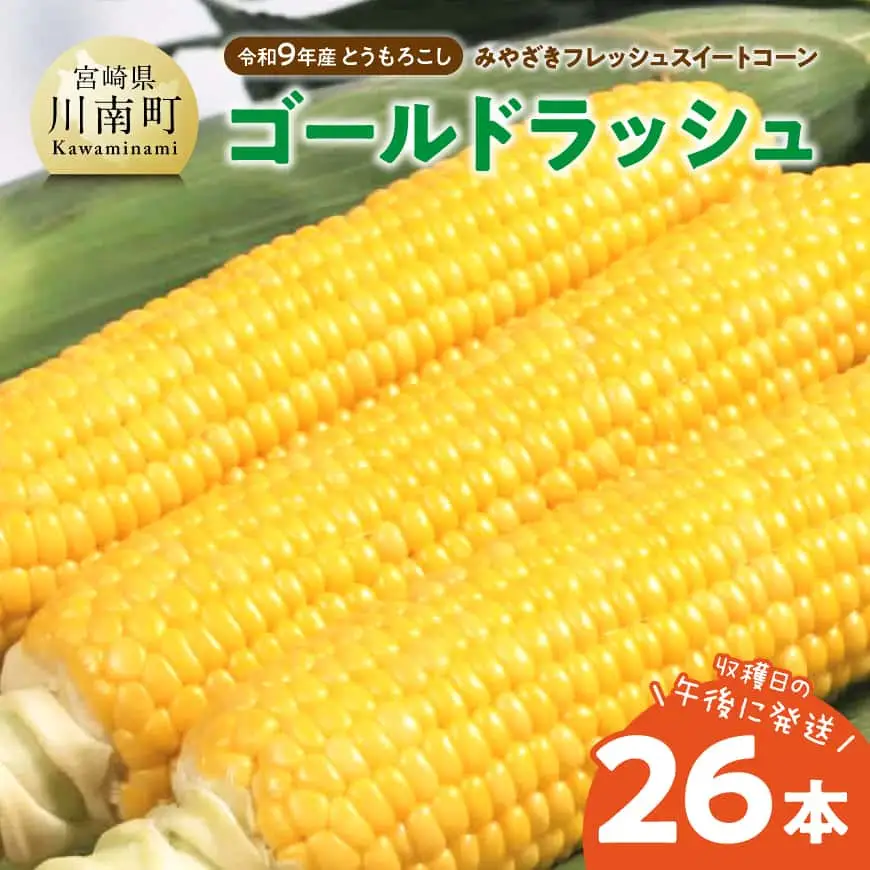 【令和9年発送】　宮崎県産とうもろこし　みやざきフレッシュスイートコーン「ゴールドラッシュ」26本