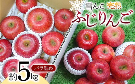 【令和8年産先行予約】 雪んこ 完熟ふじりんご 約5kg バラ詰め 《令和9年1月中旬～発送》 【全国りんご選手権 銀賞】 『船中農園』 林檎 リンゴ 果物 フルーツ デザート 山形県 南陽市 [1848]