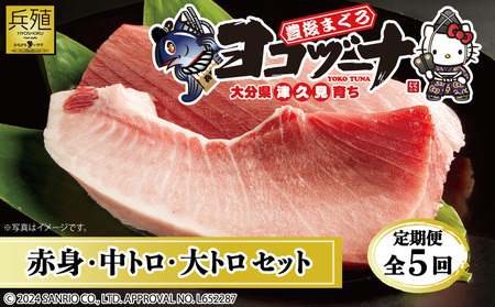 【定期便5回】本マグロ ヨコヅーナ贅沢セット | 本マグロ 津久見市