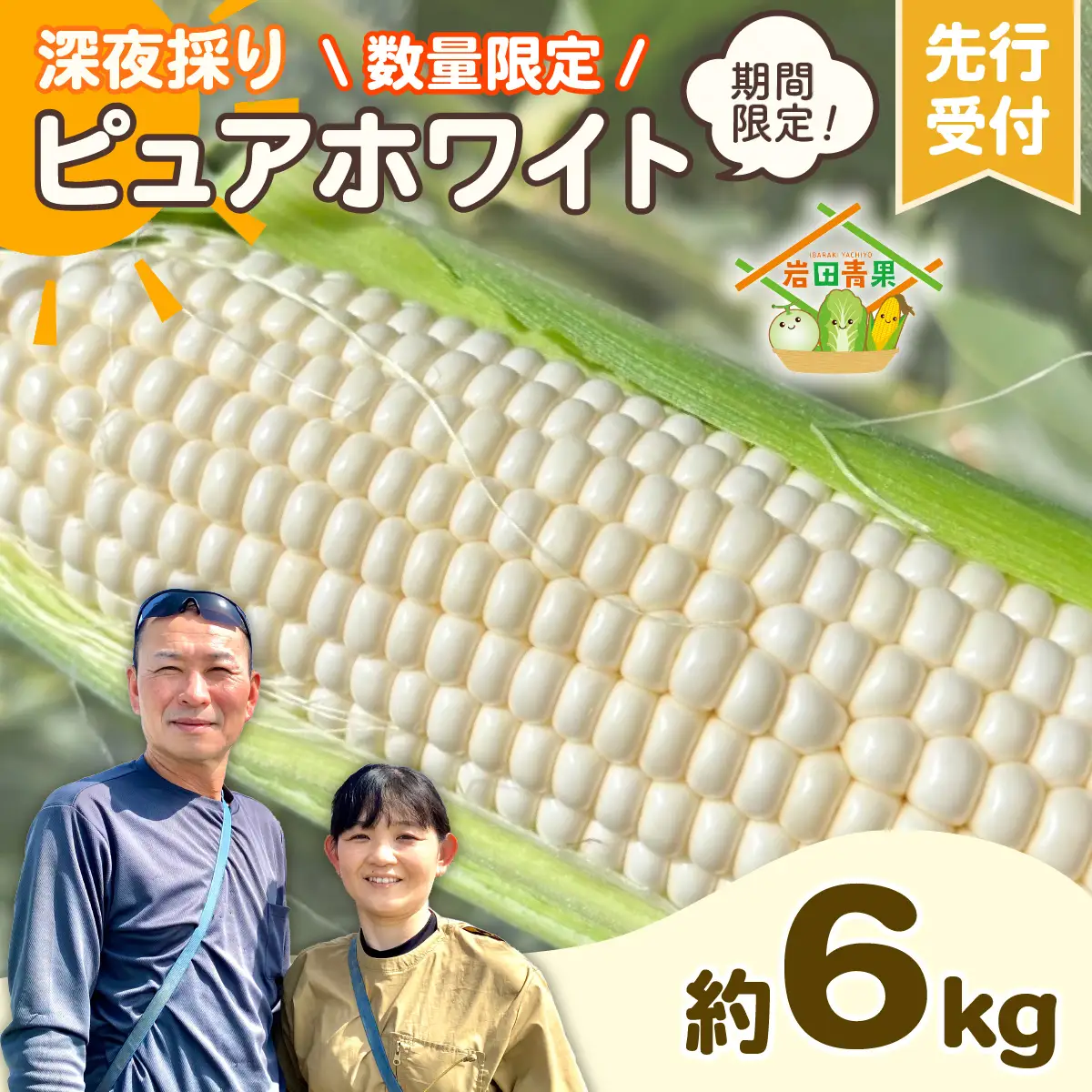 とうもろこし ピュアホワイト 6kg 茨城県産 トウモロコシ 深夜採り 朝出荷