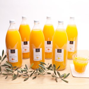 無添加・有田のジュース詰合せ1000ml×6本・4種【ikd106A】