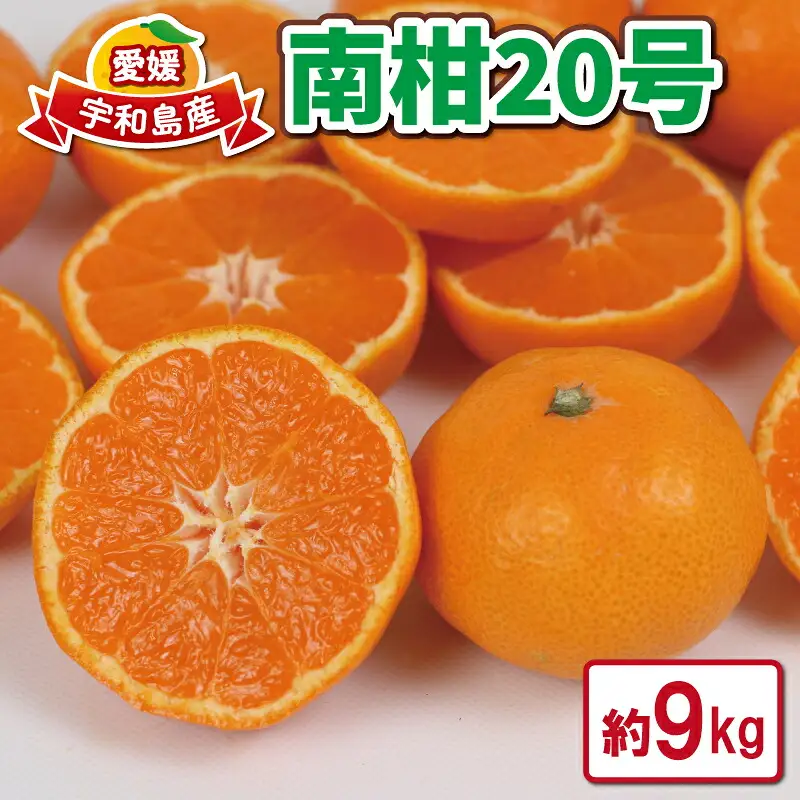 ミカン 家庭用 9kg 南柑20号 つばさ農園  ミカン 愛媛 宇和島 B010-048011