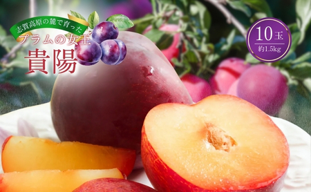 桃 志賀高原 プラム 貴陽 10玉 1.5kg 桃