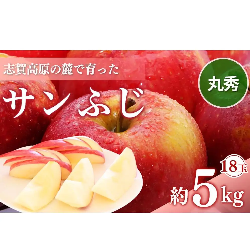 りんご 志賀高原 サンふじ 丸秀18玉 5kg りんご