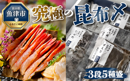 究極の昆布〆、3段5種盛（急速冷凍品）魚卸問屋はりたや 富山県魚津市 昆布締め こぶじめ 刺身 天然昆布 ※北海道・沖縄・離島への配送不可