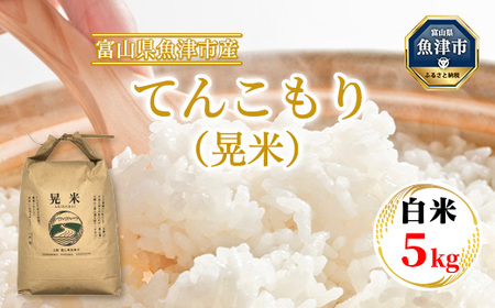 【令和8年度米】【農家直送】環境配慮「魚津のてんこもり（晃米）」5kg（白米） ｜新米 MK農産 白米 銘柄米 ご飯 おにぎり お弁当 和食 主食 国産 産地直送 甘み 香り もちもち ※2026年11月～発送