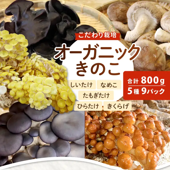 オーガニックきのこバラエティ小セット約800g（5種9パック入）