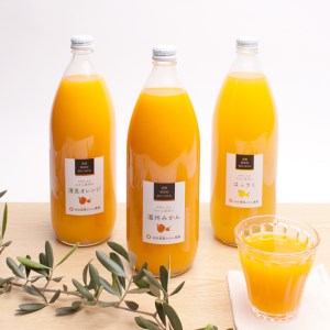 無添加・有田のジュース詰合せ1000ml×3本・3種【ikd104A】