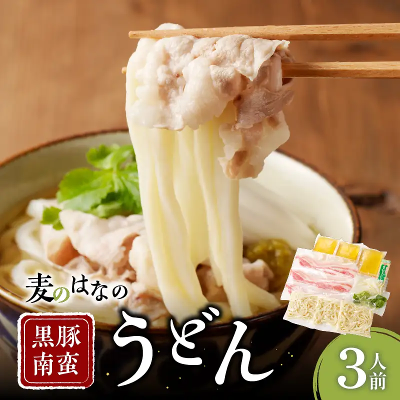麦のはな の 黒豚 南蛮うどん 【 3人前 】 K071-002