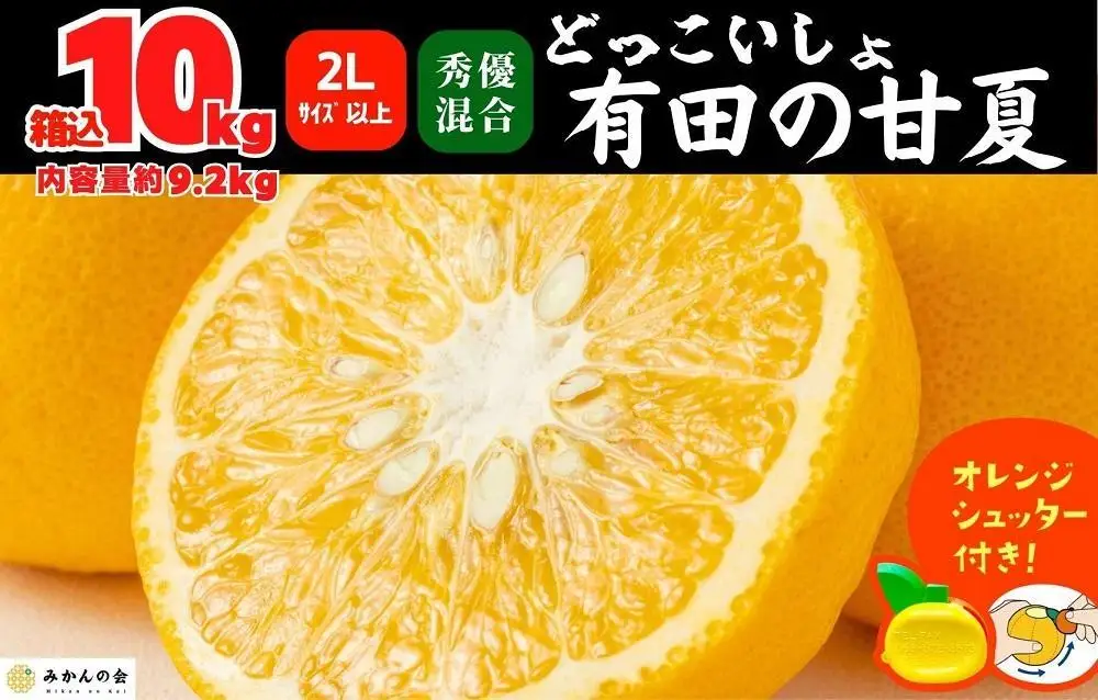 甘夏 大玉 箱込 10kg (内容量約9.2kg) 秀品 優品 混合 どっこいしょ 2Lサイズ以上 産地直送【みかんの会】