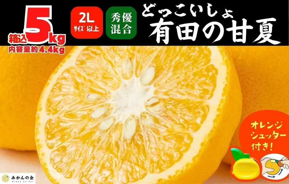 甘夏 大玉 箱込 5kg (内容量約4.4kg) 秀品 優品 混合 どっこいしょ 2Lサイズ以上 産地直送【みかんの会】