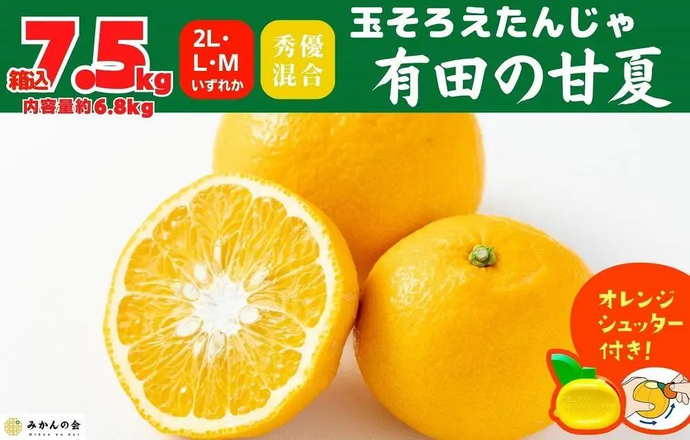 甘夏 玉ぞろい 箱込 7.5kg ( 内容量約 6.8kg ) 秀品 優品 混合 2L  L M サイズのいずれか 和歌山県 産地直送 【みかんの会】