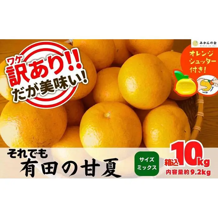 訳あり それでも 甘夏 箱込 10kg (内容量約9.2kg)  サイズミックス 産地直送 家庭用［みかんの会］