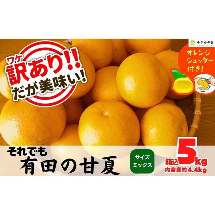 訳あり それでも 甘夏 箱込 5kg (内容量約4.4kg)  サイズミックス 産地直送 家庭用［みかんの会］